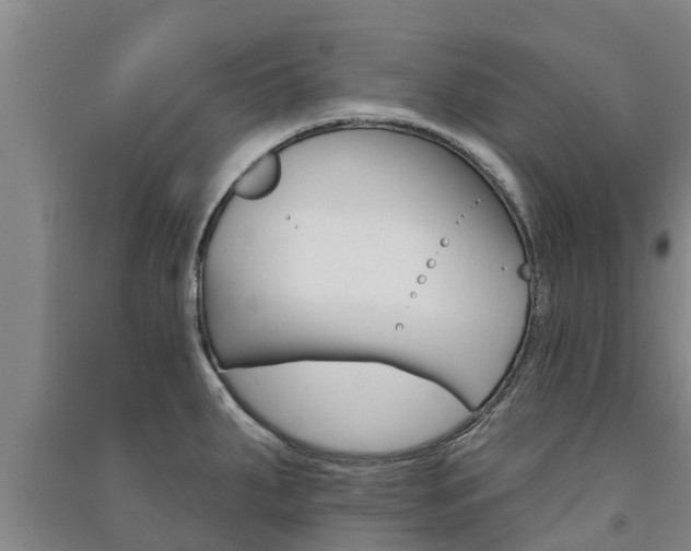 X0000091581287200708201005