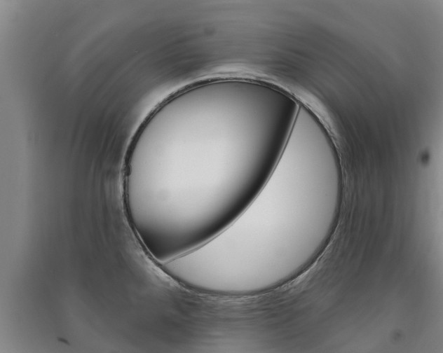 X0000091581288200708201005