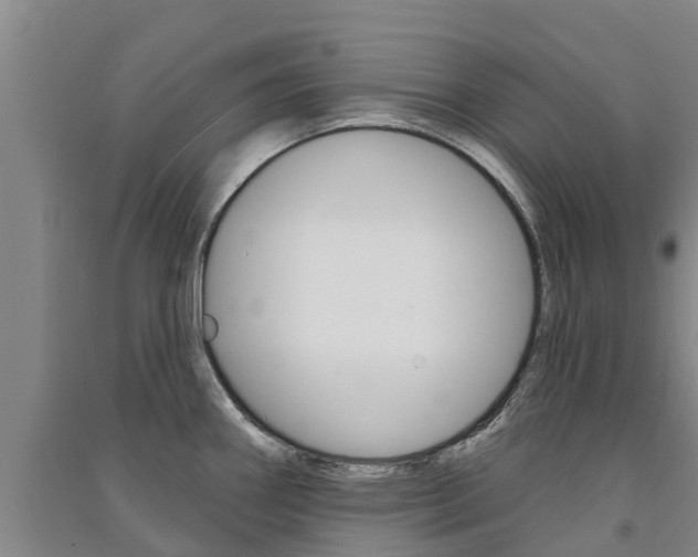 X0000091581290200708201005