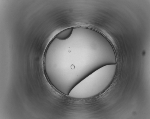 X0000091581291200708201005