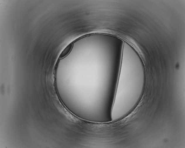 X0000091581292200708201005