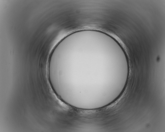 X0000091581294200708201005