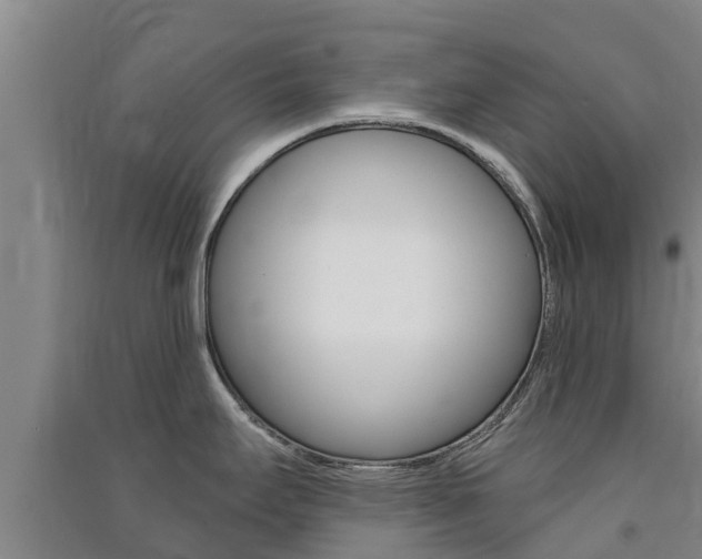 X0000091581295200708201005