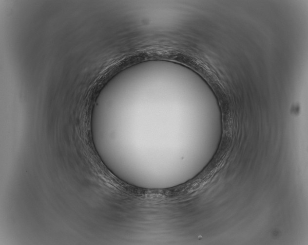 X0000091581297200708201004
