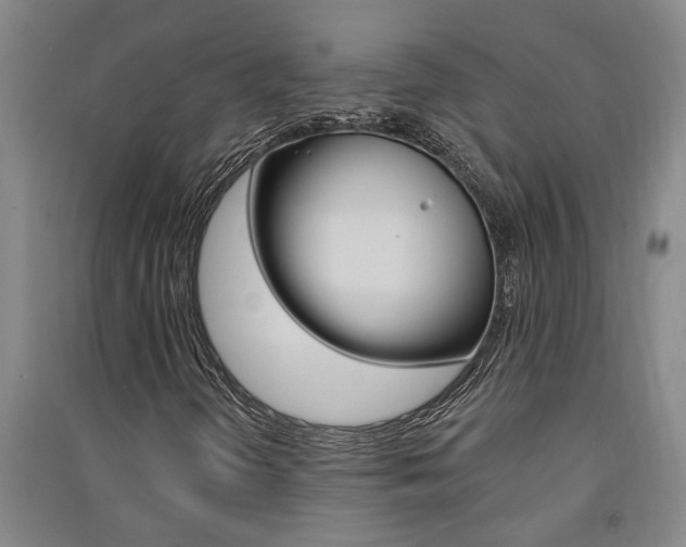 X0000091581298200708201004