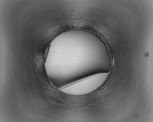 X0000091581299200708201004