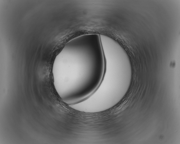 X0000091581300200708201004