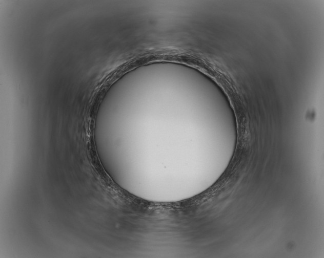 X0000091581301200708201004