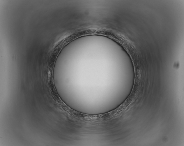 X0000091581302200708201004