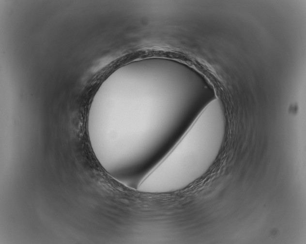 X0000091581303200708201004