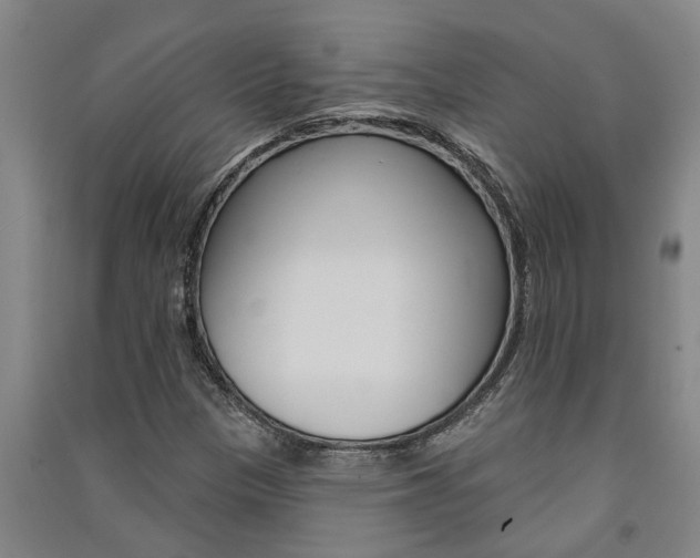 X0000091581305200708201004