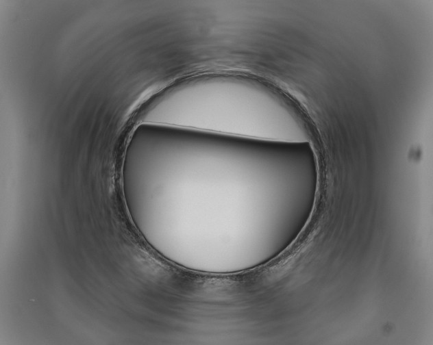 X0000091581306200708201004