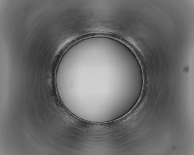 X0000091581307200708201004