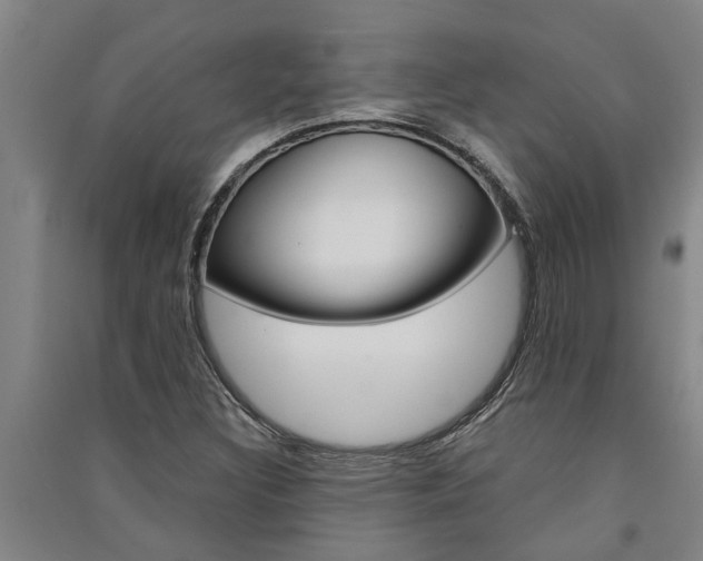 X0000091581308200708201004