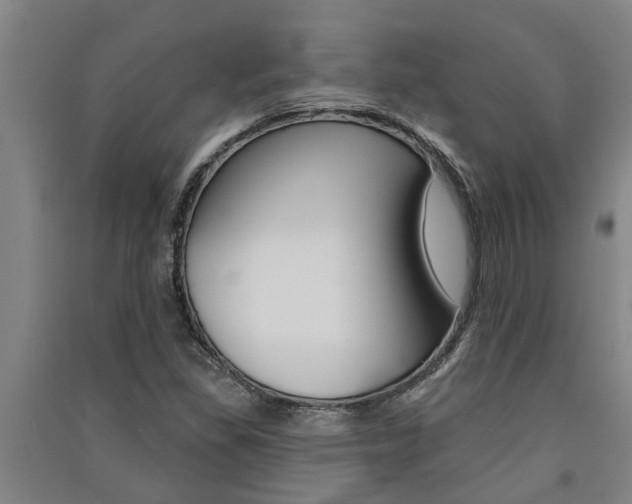X0000091581309200708201004