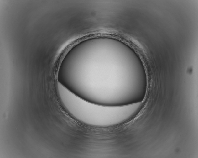 X0000091581310200708201004