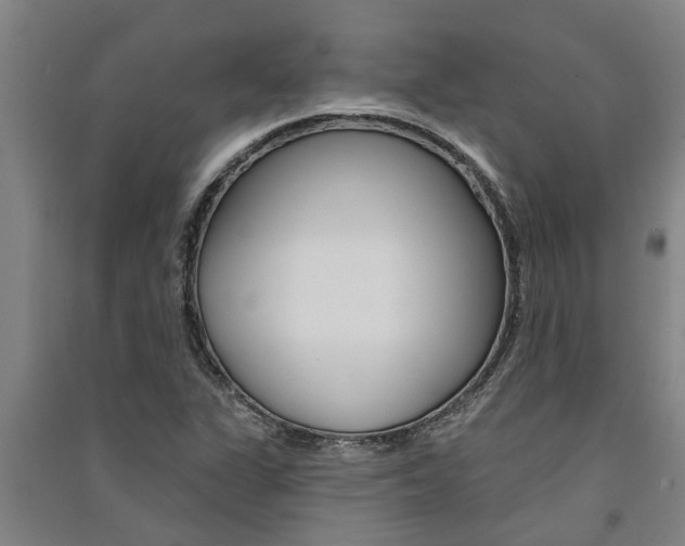 X0000091581311200708201004