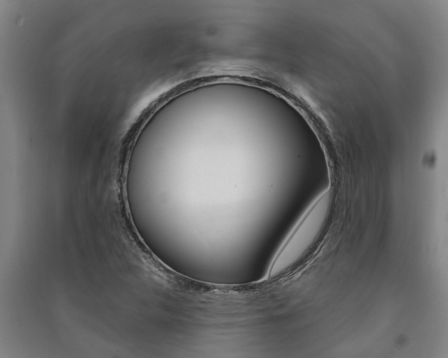 X0000091581312200708201004