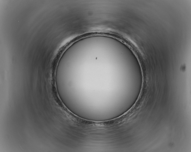 X0000091581315200708201004