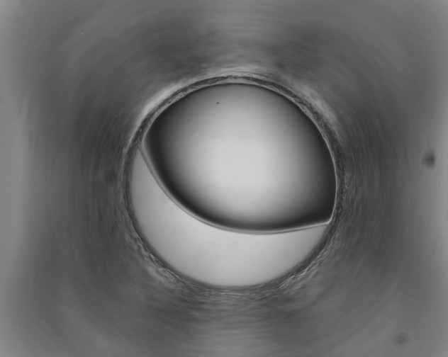 X0000091581316200708201004