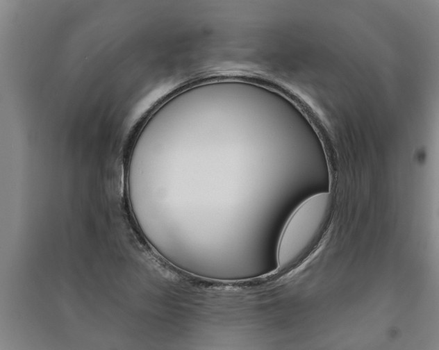 X0000091581317200708201004