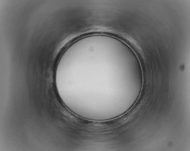 X0000091581318200708201004