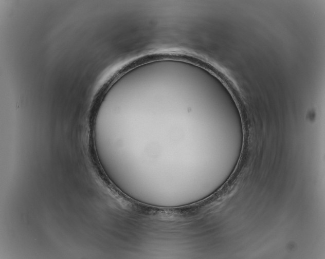 X0000091581319200708201004