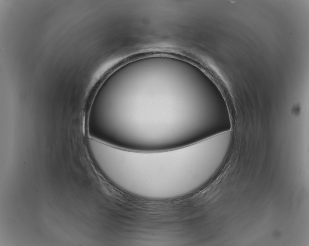 X0000091581320200708201004