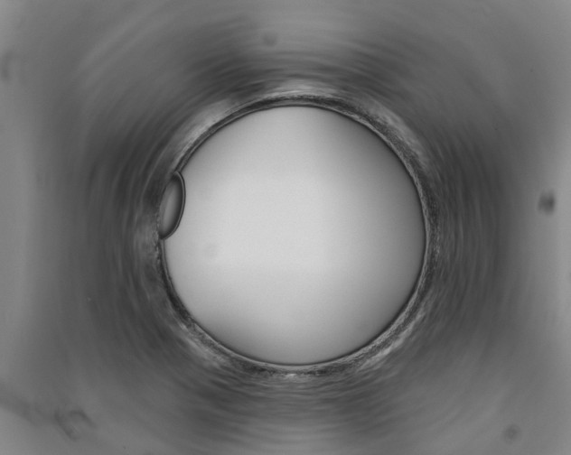 X0000091581321200708201004