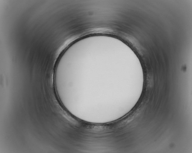 X0000091581322200708201005