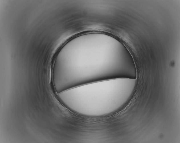 X0000091581323200708201005