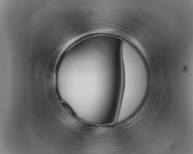 X0000091581324200708201005