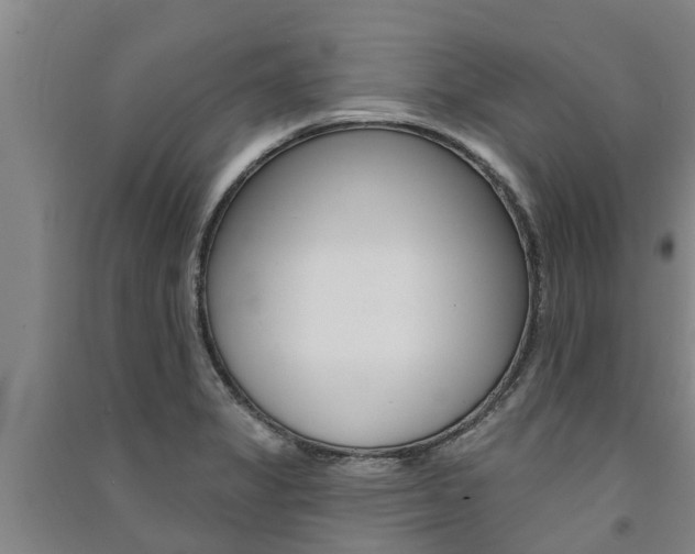 X0000091581325200708201005