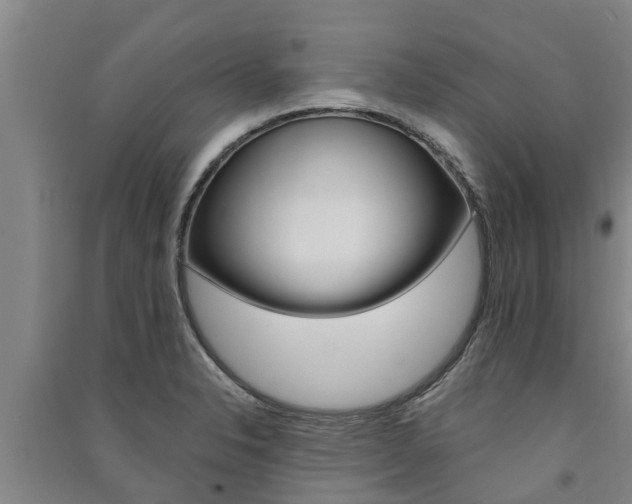 X0000091581326200708201005