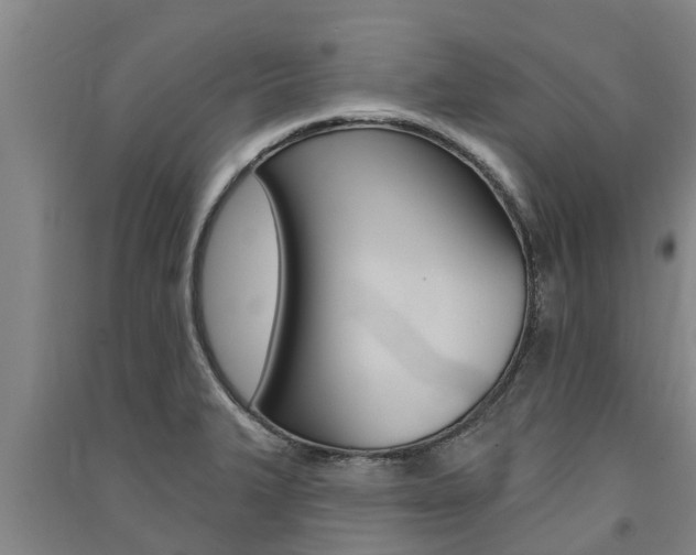 X0000091581327200708201005