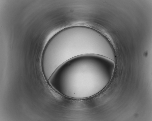 X0000091581328200708201005