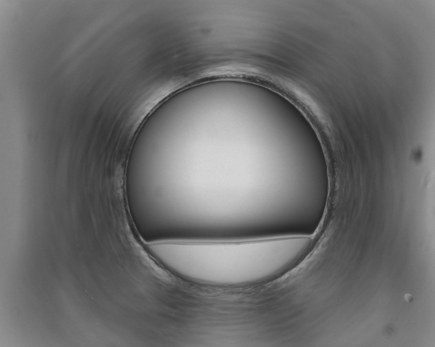 X0000091581329200708201005