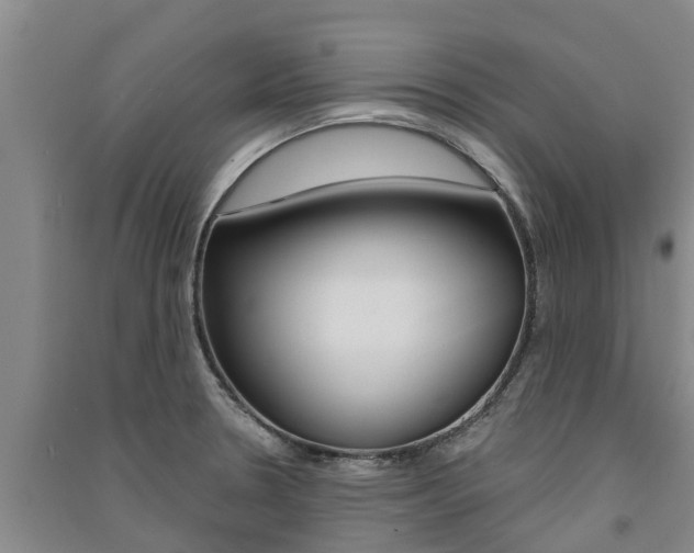 X0000091581330200708201005