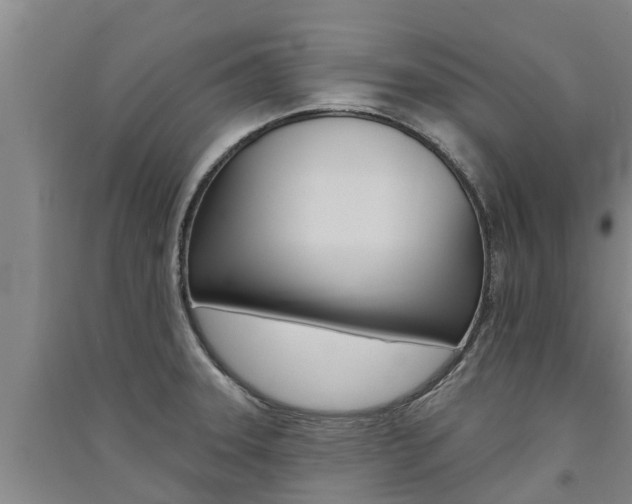 X0000091581331200708201005