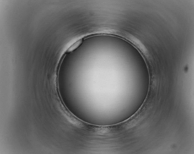 X0000091581332200708201005