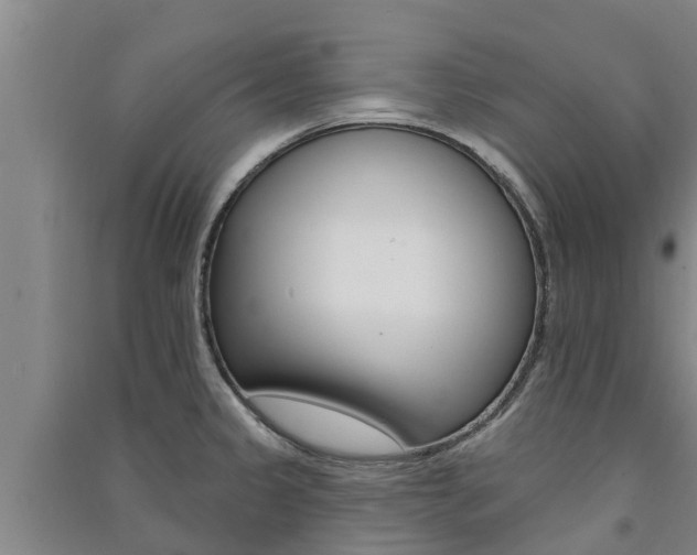 X0000091581333200708201005