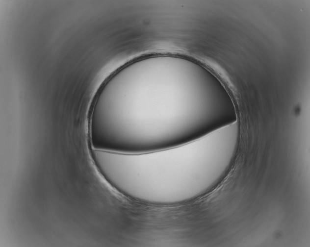 X0000091581335200708201005