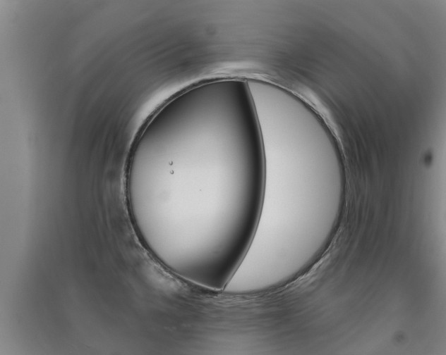 X0000091581336200708201005