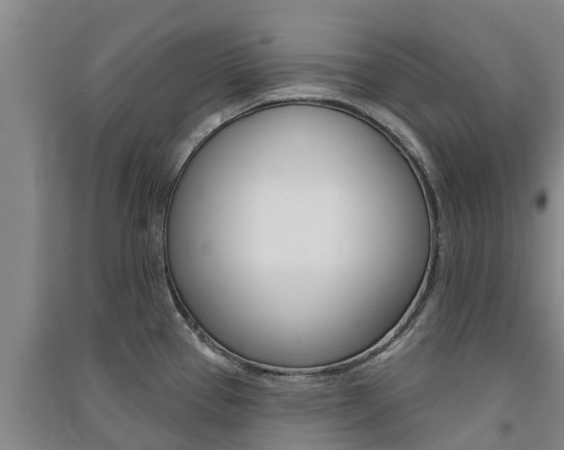 X0000091581337200708201005