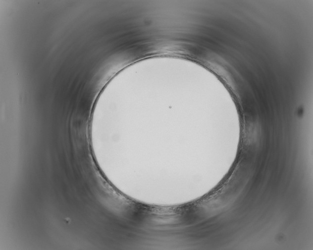 X0000091581338200708201005