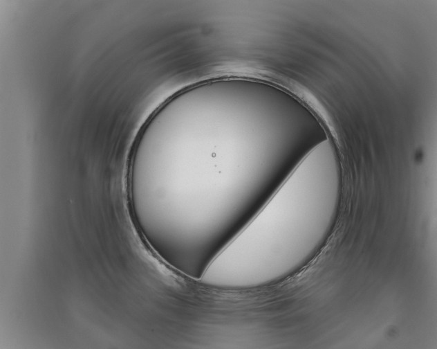 X0000091581339200708201005