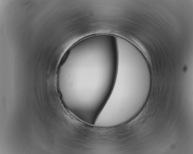 X0000091581340200708201005