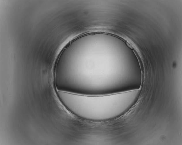 X0000091581341200708201005