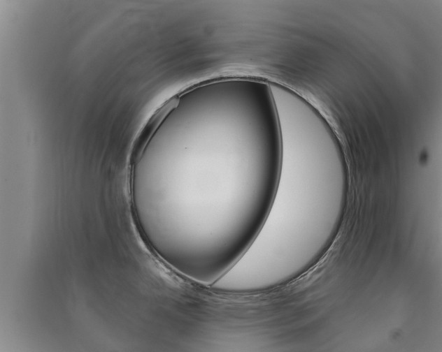 X0000091581342200708201005