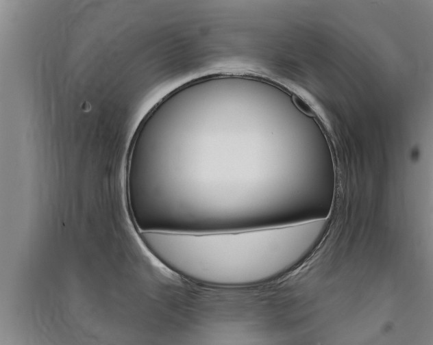 X0000091581343200708201005